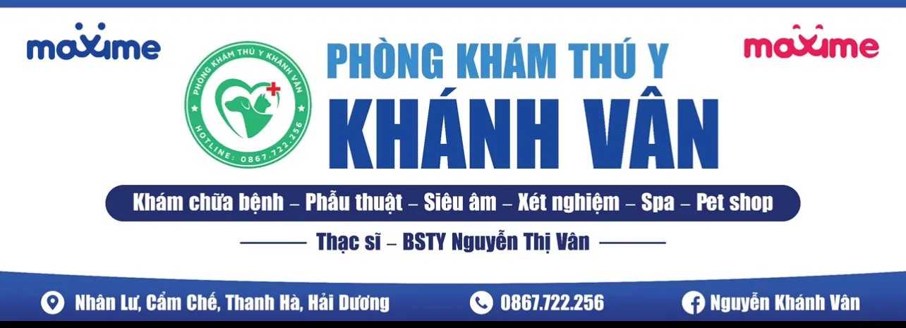 Petshop Hải Dương