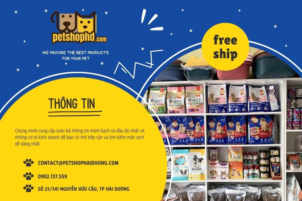 thong-tin-pet-shop-hai-duong