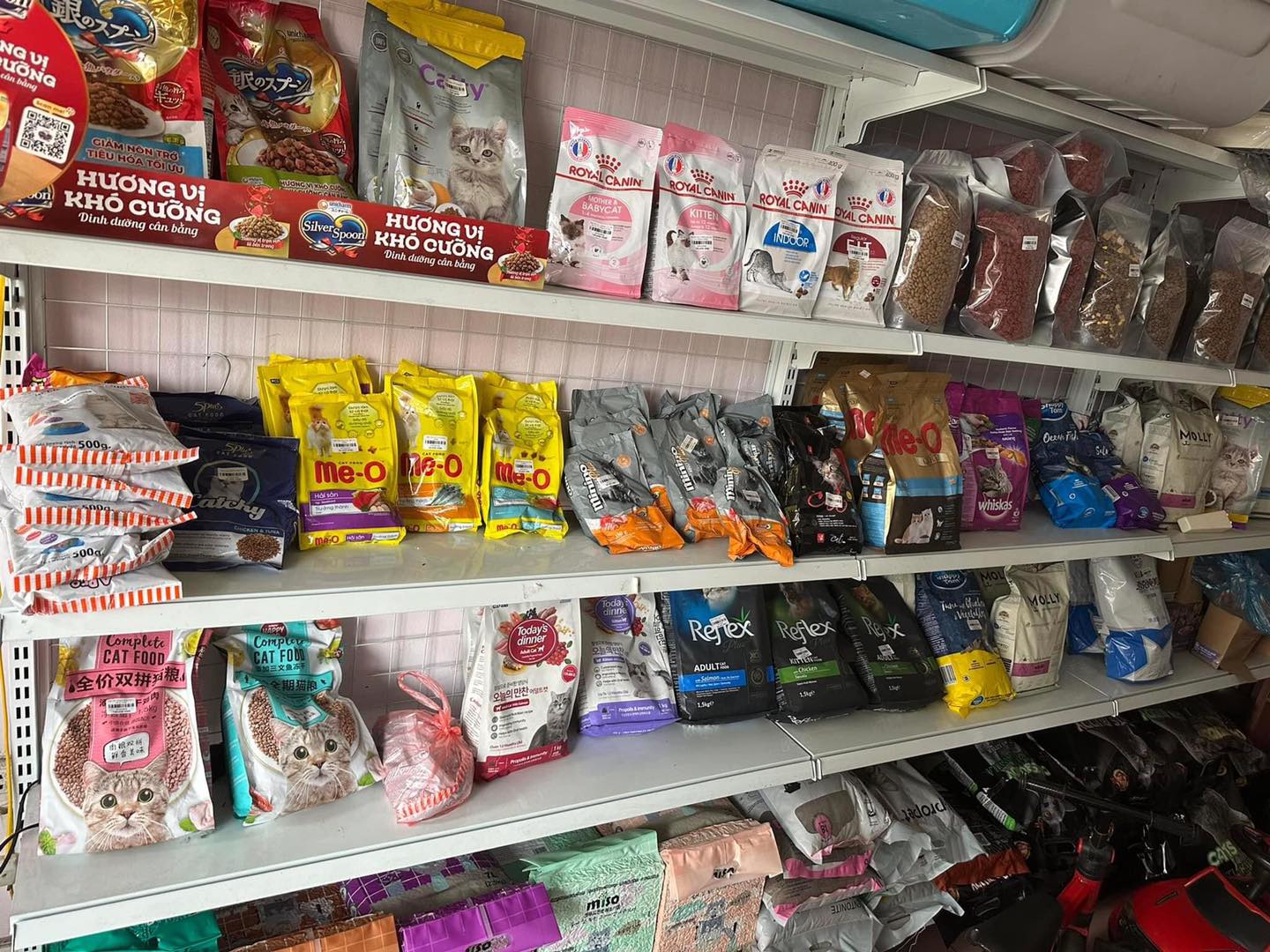 thuc-an-cho-meo-hai-duong