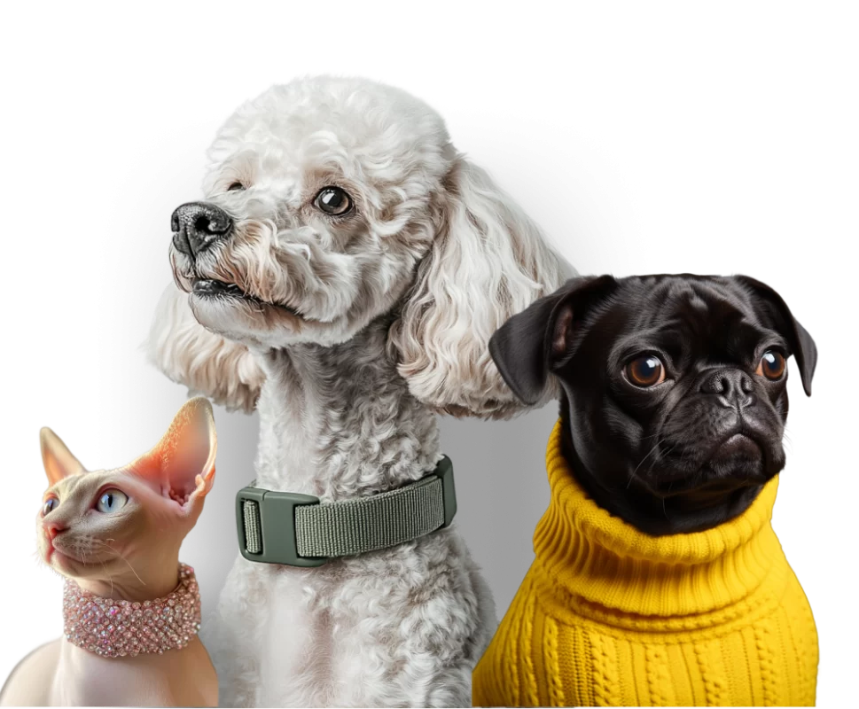 petshophd-banner