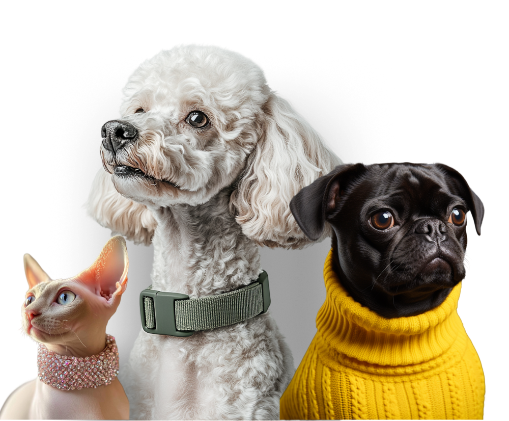 petshophd-banner