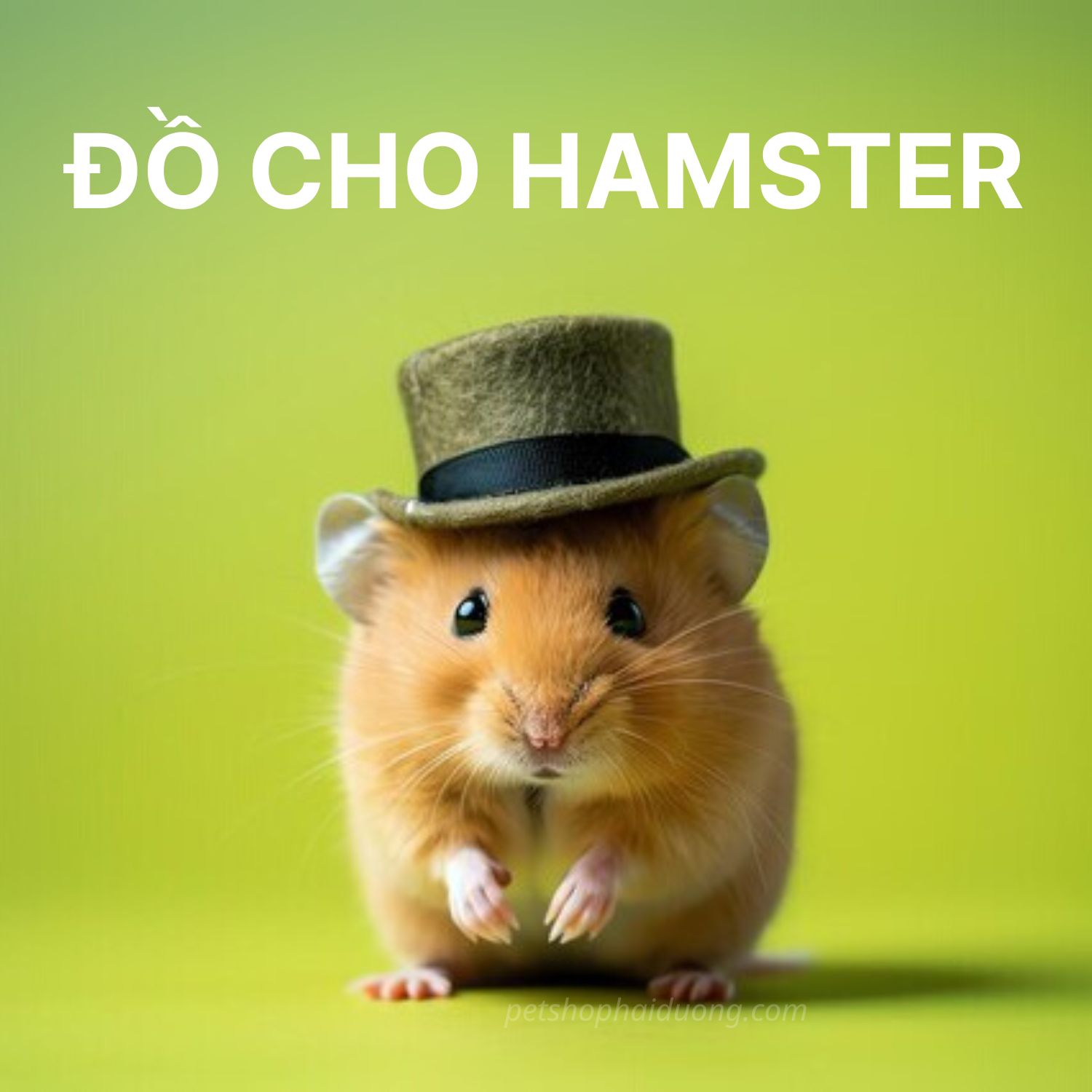 hamster1