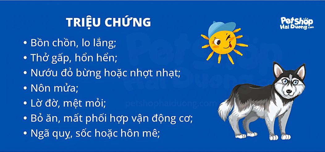 dau-hieu-soc-nhiet