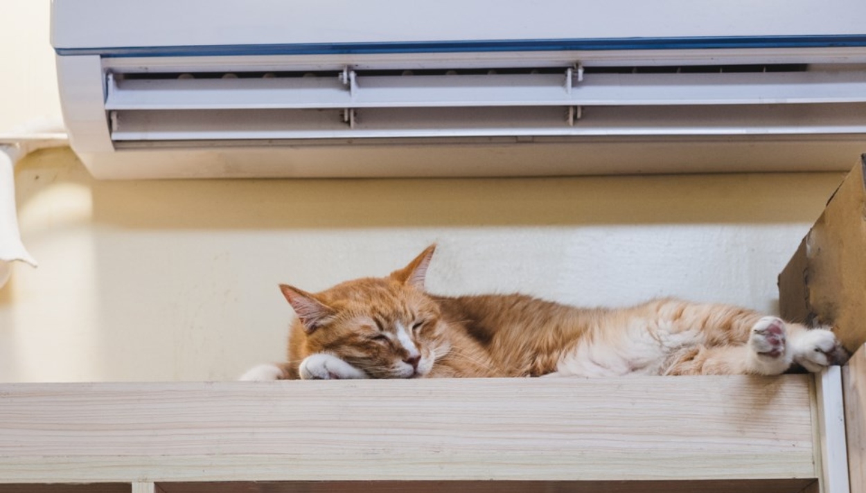 meo-co-nam-trong-dieu-hoa-may-lanh