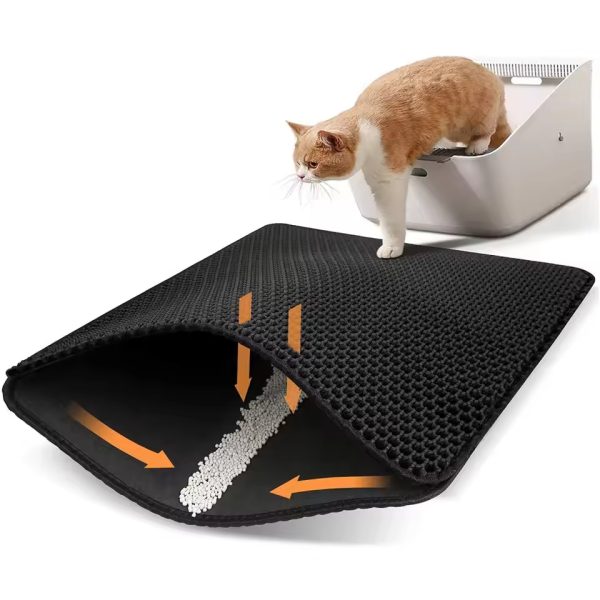 tham-hung-cat-meo