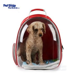 balo-van-chuyen-cho-meo