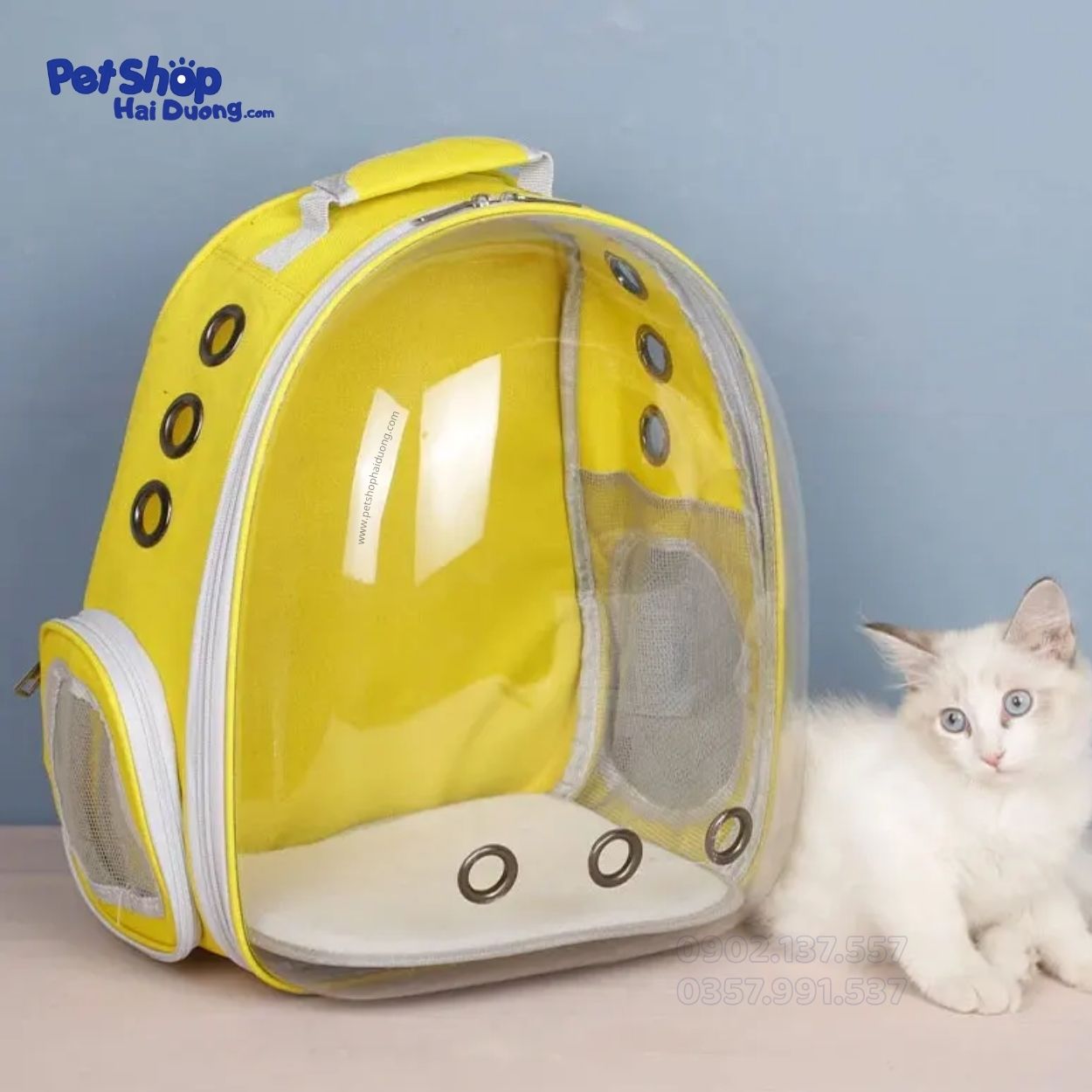 balo-van-chuyen-cho-meo4