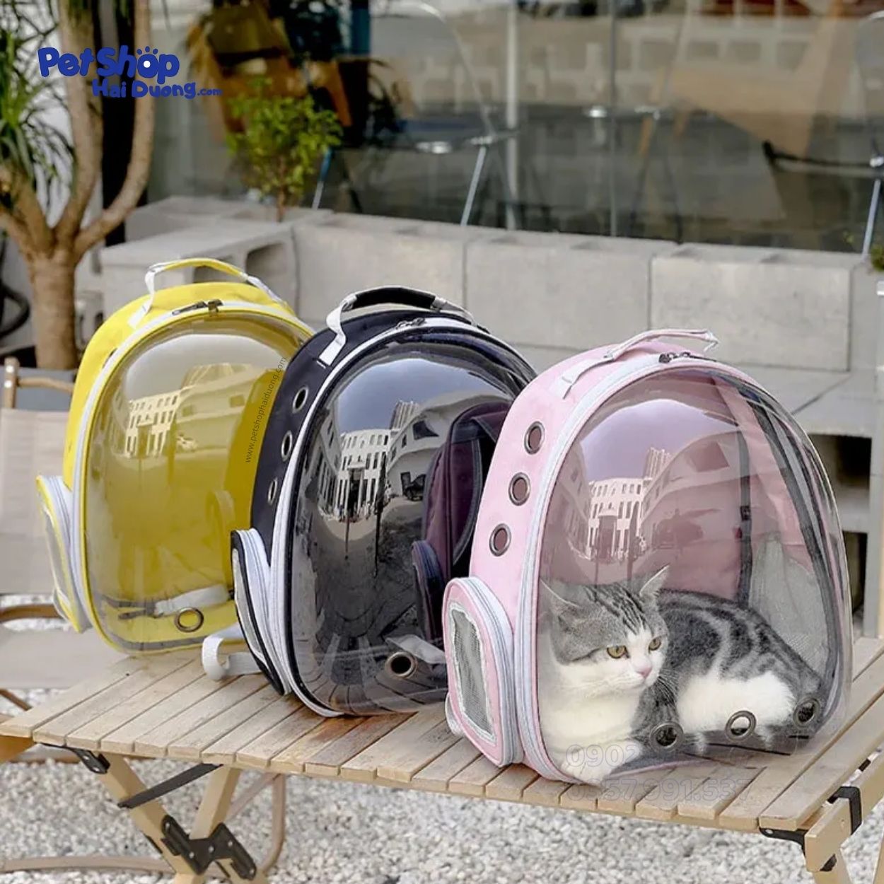 balo-van-chuyen-cho-meo6