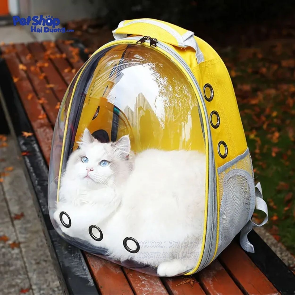 balo-van-chuyen-cho-meo8