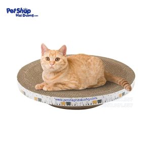 ban-cao-tron-cho-meo