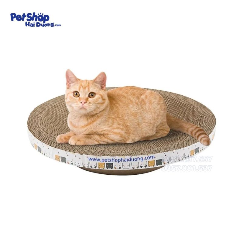 ban-cao-tron-cho-meo