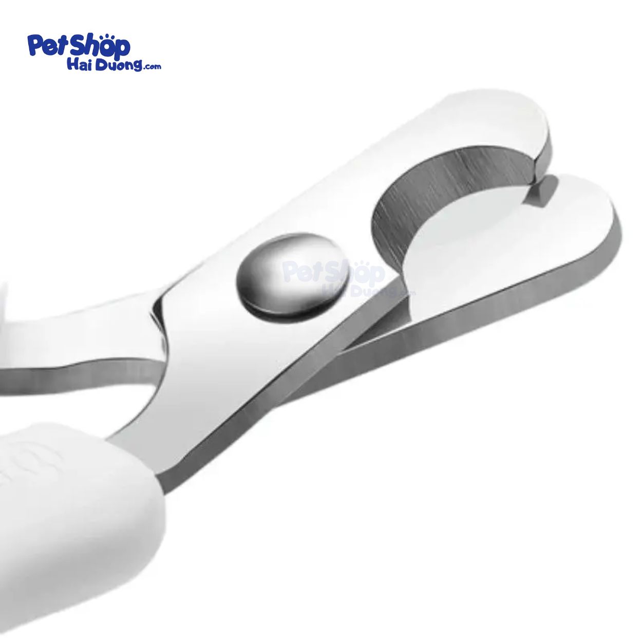 kim-cat-mong-cho-meo-mini6