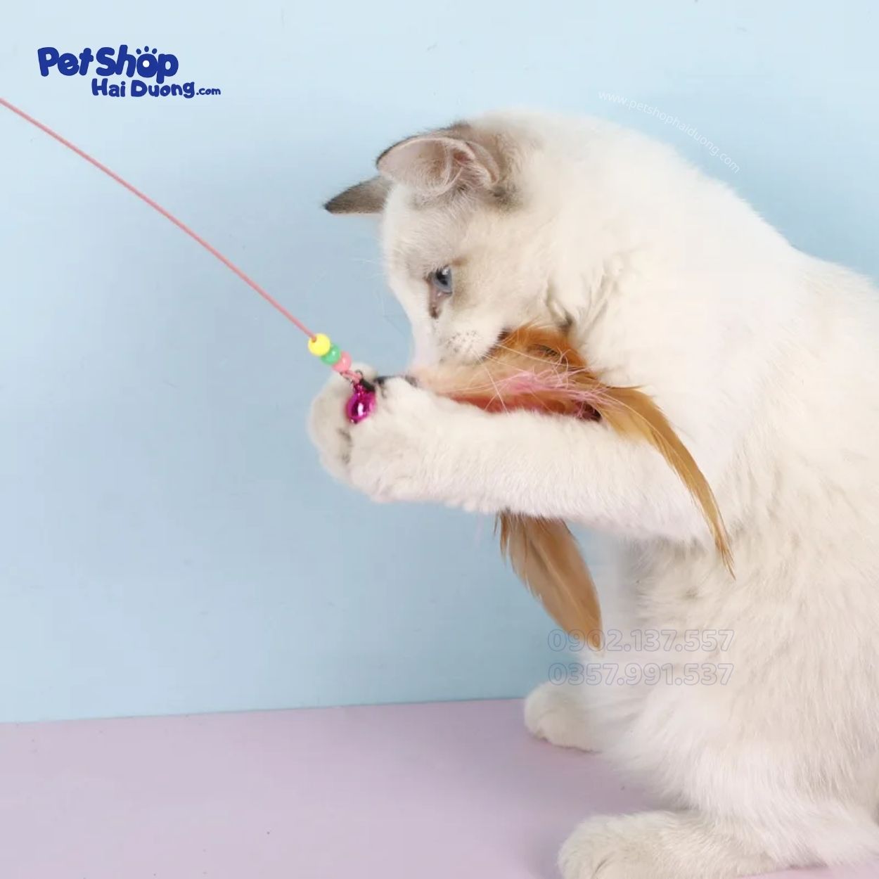 can-cau-meo-long-vu-dep11