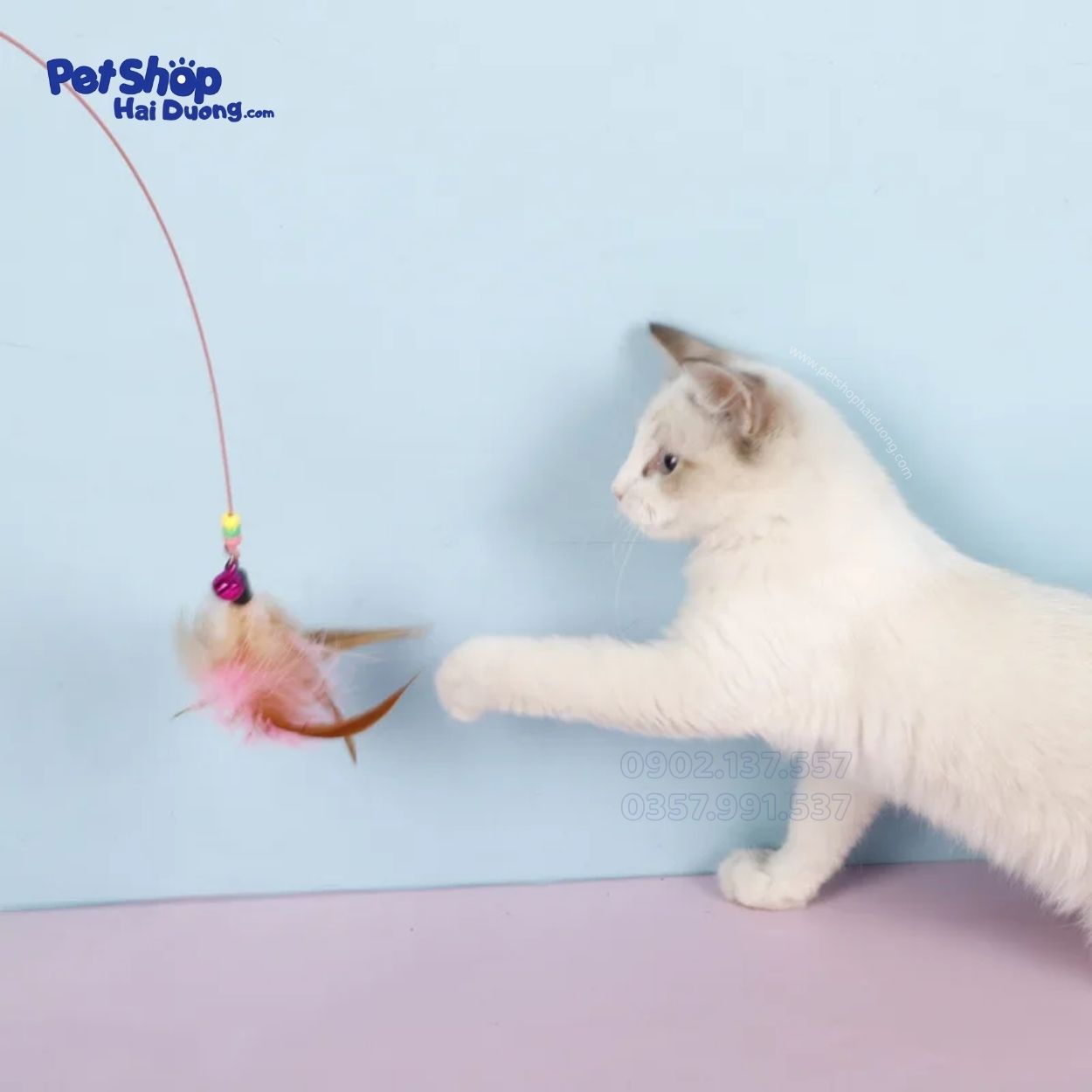 can-cau-meo-long-vu-dep12