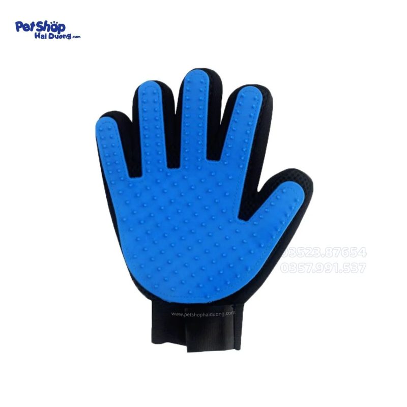 gang-tay-gom-chai-long