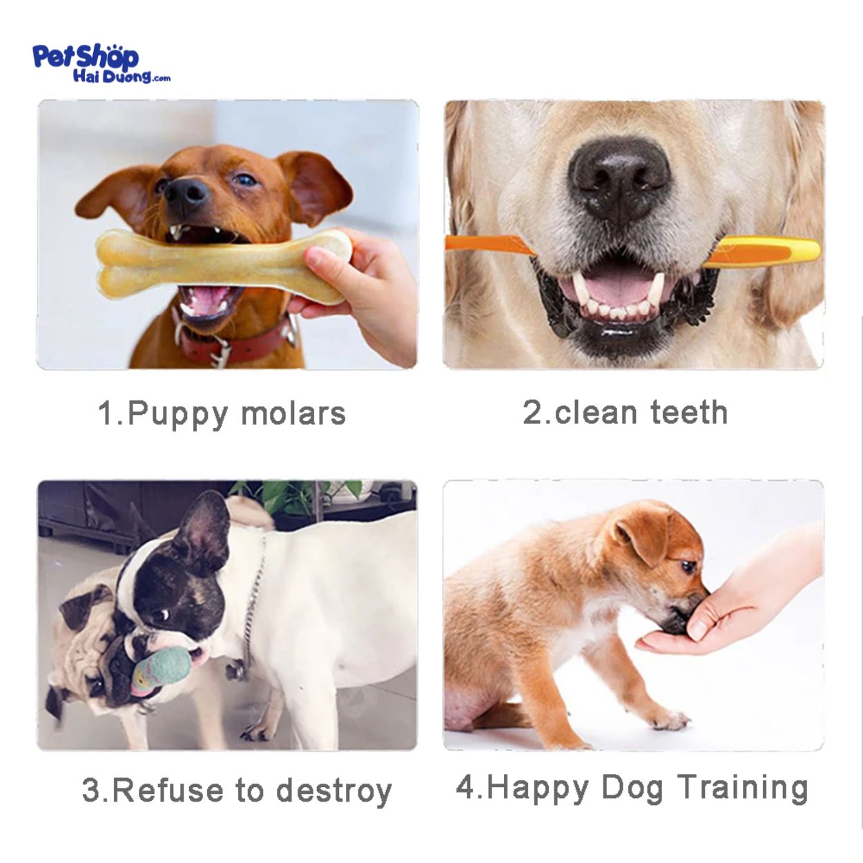 xuong-da-bo-gam-cho-cho2