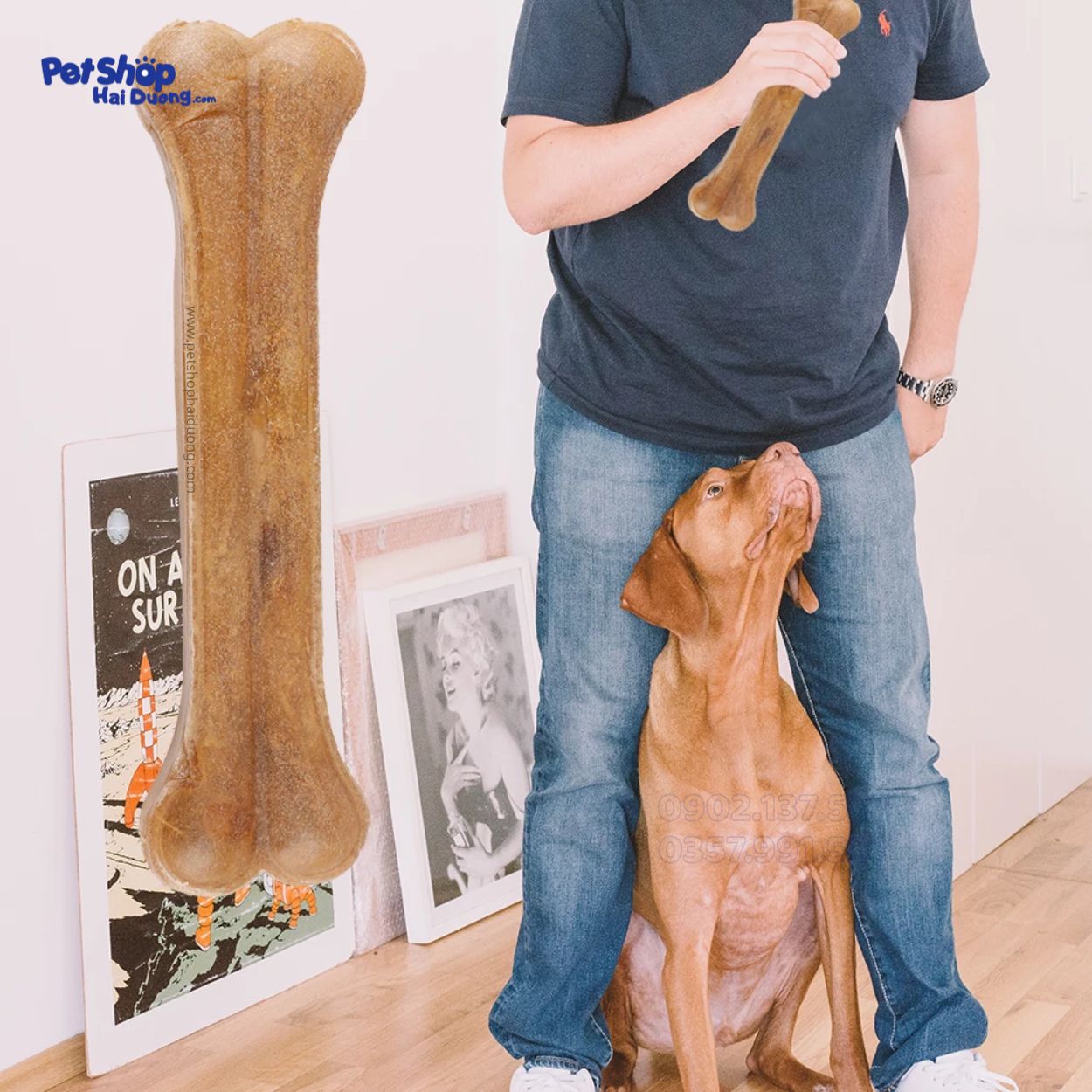 xuong-da-bo-gam-cho-cho9