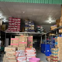 thuc-an-cho-meo-hai-duong