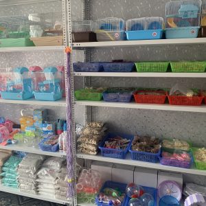 ngoc-mai-petshop14