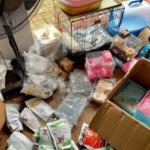 thu-cung-hamster-shop