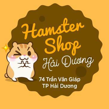 thu-cung-hamster-shop-hai-duong