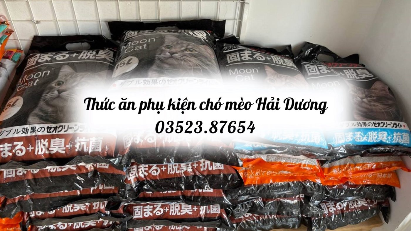 thuc-an-thu-cung-kho