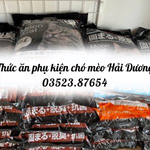 thuc-an-thu-cung-kho