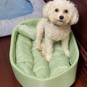 thuc-an-thu-cung-kho1