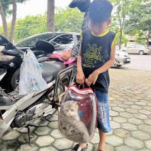 thuc-an-thu-cung-kho4