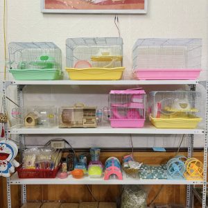 trang-nhung-hamster-4