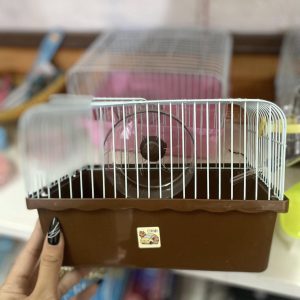 trang-nhung-hamster-6