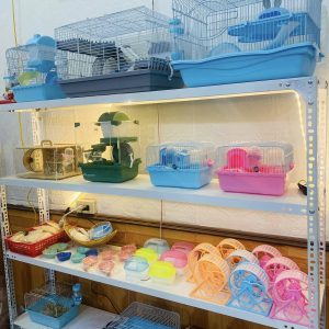 trang-nhung-hamster-7