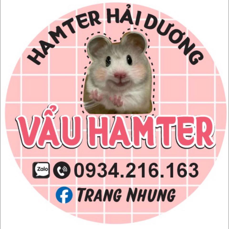 trang-nhung-hamster-hai-duong